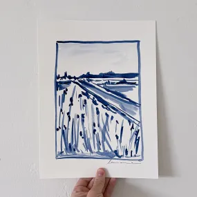 Cape Cod No. 7
